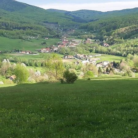 Dobarlica Guest House Dobirlau Екстериор снимка