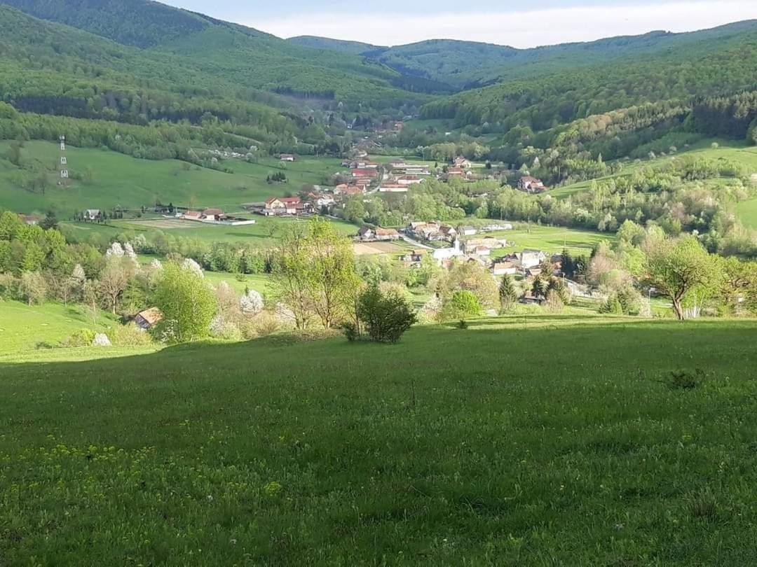 Dobarlica Guest House Dobirlau Екстериор снимка