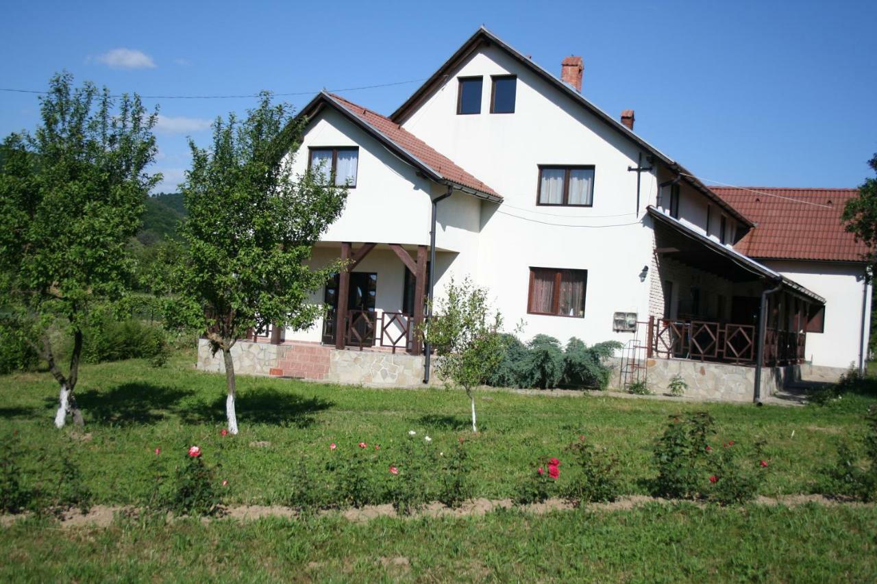 Dobarlica Guest House Dobirlau Екстериор снимка