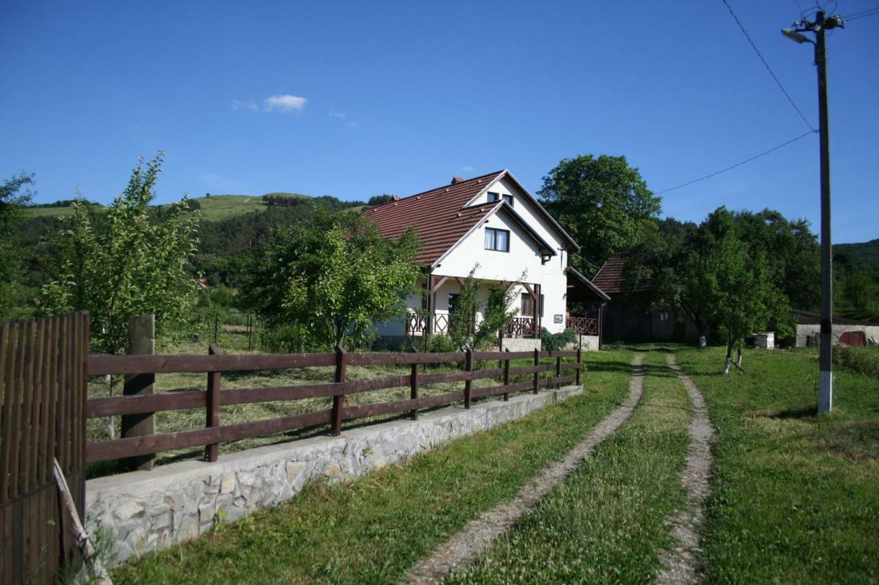 Dobarlica Guest House Dobirlau Екстериор снимка